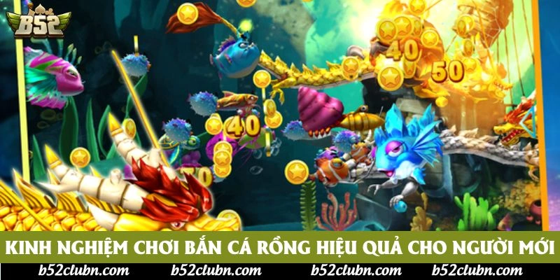 Kinh nghiệm chơi bắn cá rồng hiệu quả cho người mới Kinh nghiệm chơi bắn cá rồng hiệu quả cho người mới